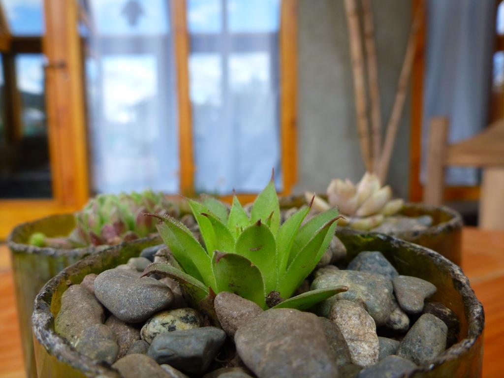 Earthship Patagonia Eco Accommodations El Bolsón Eksteriør billede